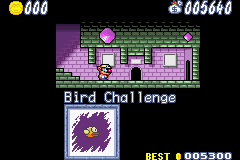 Bird Challenge